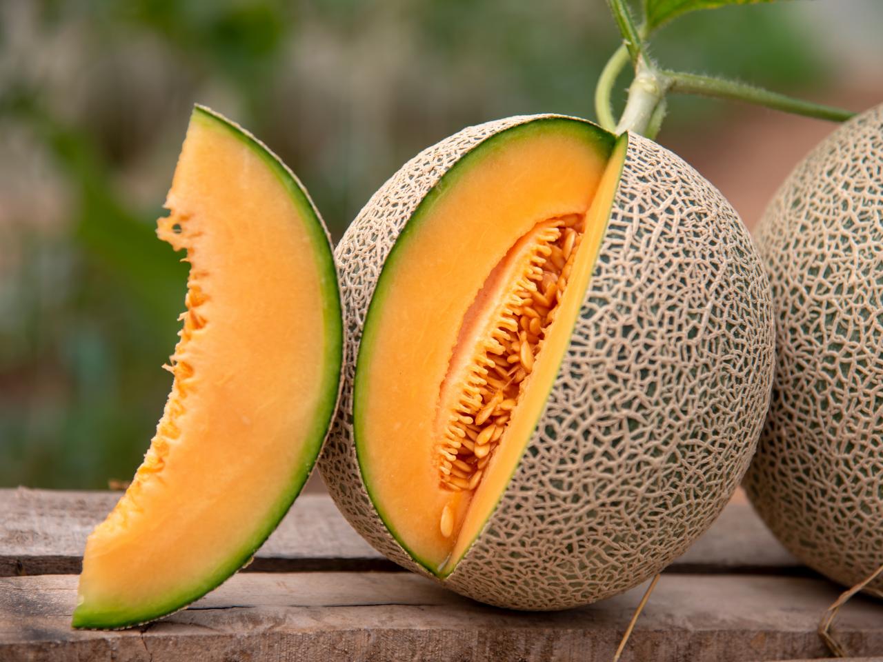 test-cantalope